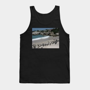 Boulders Beach, Table Mountain National Park, South Africa Tank Top